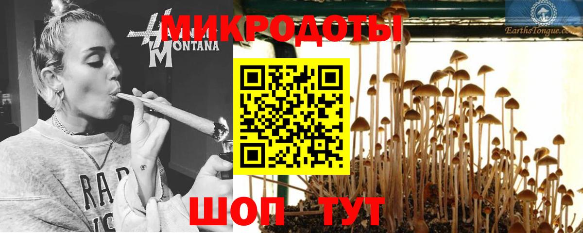 Псилоцибиновые грибы ЛСД  Галлюциногенные грибы ЛСД  где купить наркоту  Канаш  Вход с VPN 
